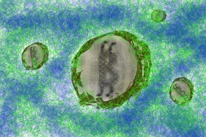 B26C390A-2986-4301-B15D-03E6081DAE02