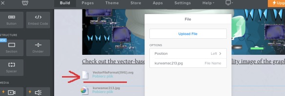 5A1B00EB-34FA-4EA2-85BE-2CDD237184F1